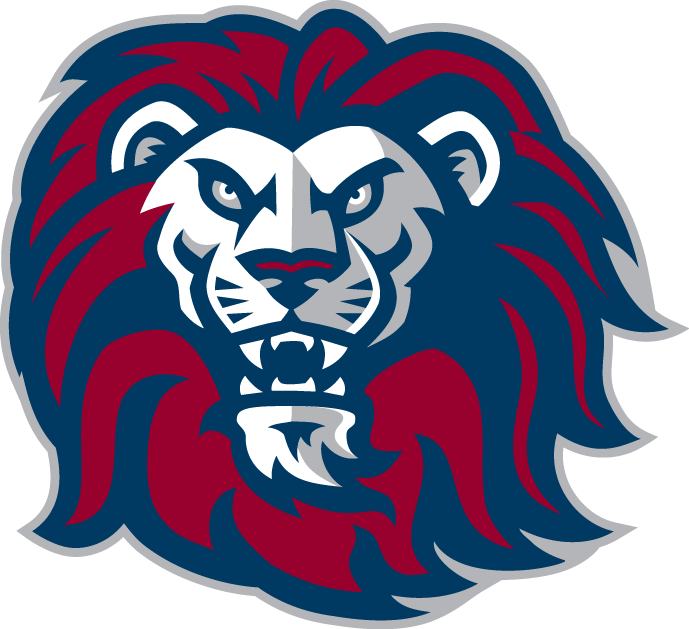 Loyola Marymount Lions 2001-Pres Alternate Logo v6 diy fabric transfer
